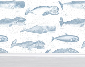 Vintage Whale Illustrations - Removable Wallpaper