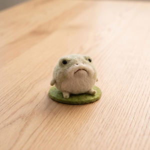 Könnte beinhalten: Eine runde, nadelgefilzte Froschfigur mit einer hellgrünen und weißen, strukturierten Wolloberfläche. Der Frosch hat kleine schwarze Augen, einen nach unten gezogenen Mund und sitzt auf einer flachen, kreisförmigen grünen Filzunterlage.