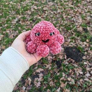 May include: A handmade, plush, red octopus toy with a smiling face and black eyes. The octopus is made of a soft, textured material and has eight rounded tentacles. The toy is held in a hand against a background of fallen leaves and grass.