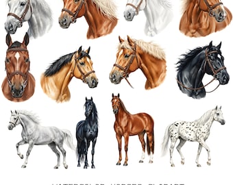 May include: Watercolor horse clipart featuring various breeds and colors, including white, brown, black, and spotted horses. The image includes detailed portraits of horse heads with bridles and full-body illustrations. Text at the bottom reads "WATERCOLOR HORSES CLIPART" and "59 PNG".