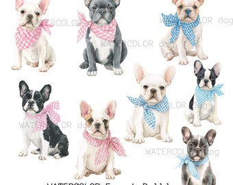 Aquarell Französische Bulldogge Clipart PNG (Digital Download)