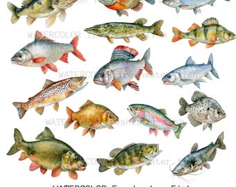 Aquarell Süßwasserfische Clipart Sammlung, 34 PNG Illustrationen (Digitaler Download)