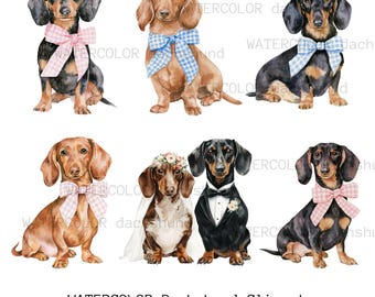 Aquarell Dackel Hund mit blauer und rosa Schleife PNG Clipart, digitaler Download