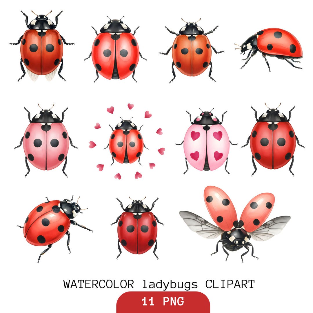 Watercolor Ladybug Clipart, Summer Bug PNG Images (digital Download ...