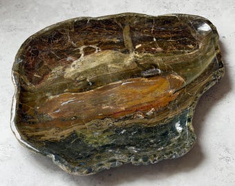 May include: A polished, irregular-shaped stone tray featuring a marbled surface with deep earth tones including dark green, brown, ochre, and black. The tray has a smooth, glossy finish with visible natural veining and a raw, textured edge.