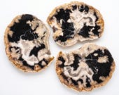 Petrified Wood Serving Dish 14"