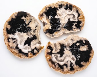 Versteinertes Holz Servierplatte 36 cm