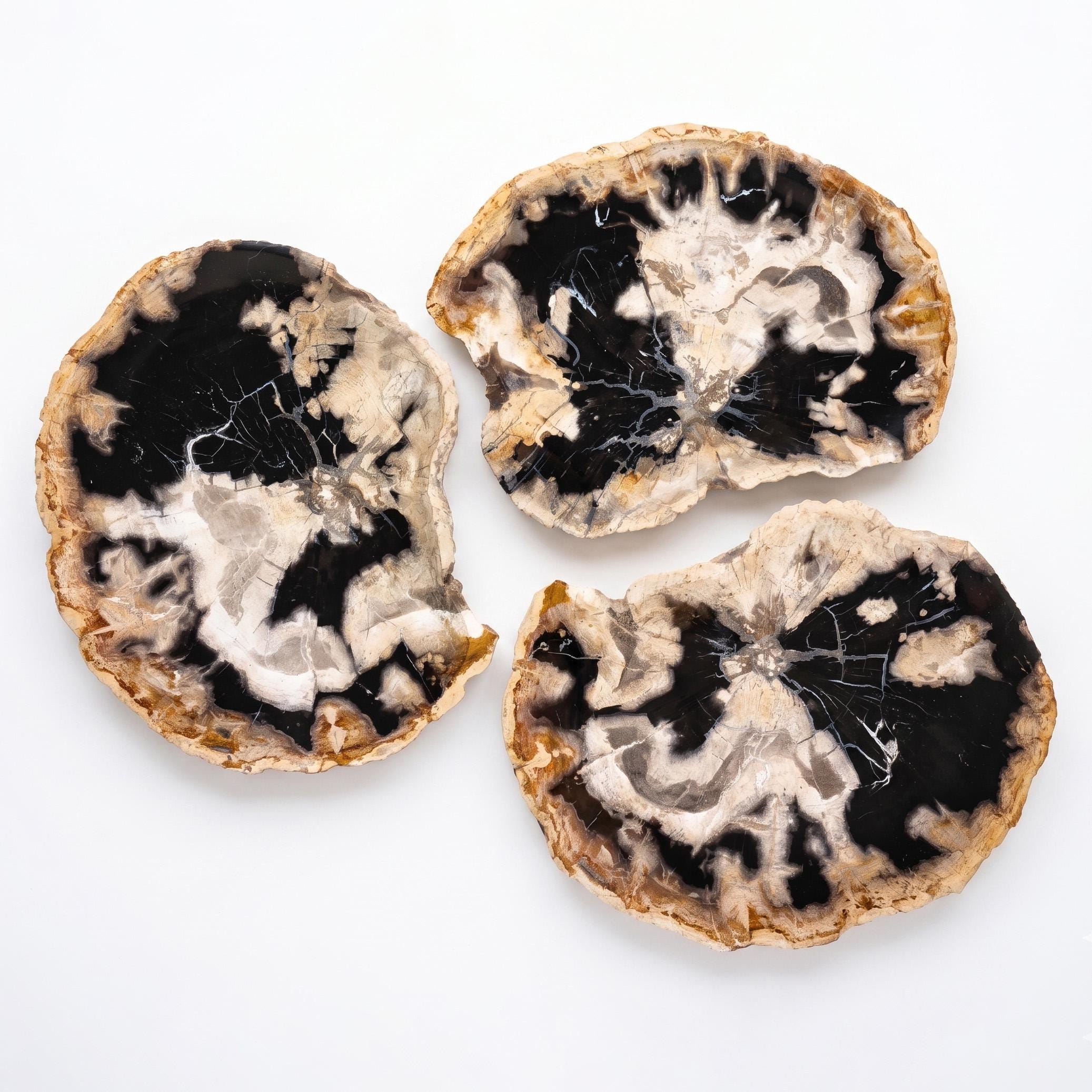 Ancient Forest Platter