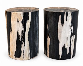 Pode incluir: Dois bancos cilíndricos feitos de madeira petrificada, apresentando um padrão de alto contraste de veios naturais em preto profundo e branco creme. Cada peça tem um topo plano e circular e uma superfície vertical polida.