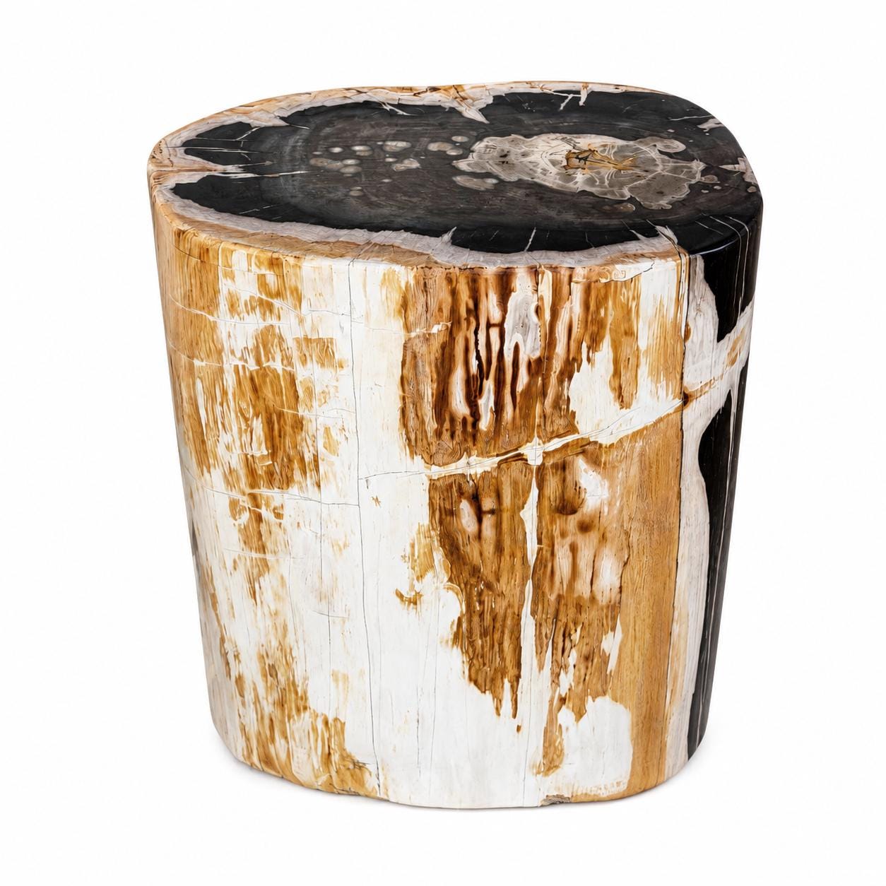 Petrified Wood Side Table 18"