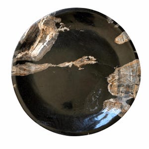 Petrified Wood Ash Tray - Etsy