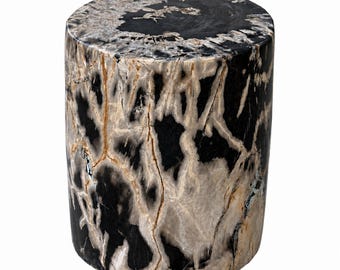Pode incluir: Um banco cilíndrico feito de madeira petrificada, apresentando uma superfície polida com um padrão de alto contraste de veios pretos profundos e brancos creme. A textura orgânica natural do grão da madeira fossilizada é visível.