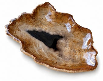 Könnte beinhalten: Eine polierte Schale aus versteinertem Holz mit unregelmäßiger, organischer Form. Die Oberfläche zeigt natürliche Holzmaserungen in Braun- und Beigetönen sowie eine markante, glatte, tiefschwarze Vertiefung mit glänzendem Finish.