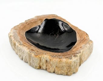 Ciotola raccogli-tutto in legno pietrificato con bordo naturale, 7 pollici