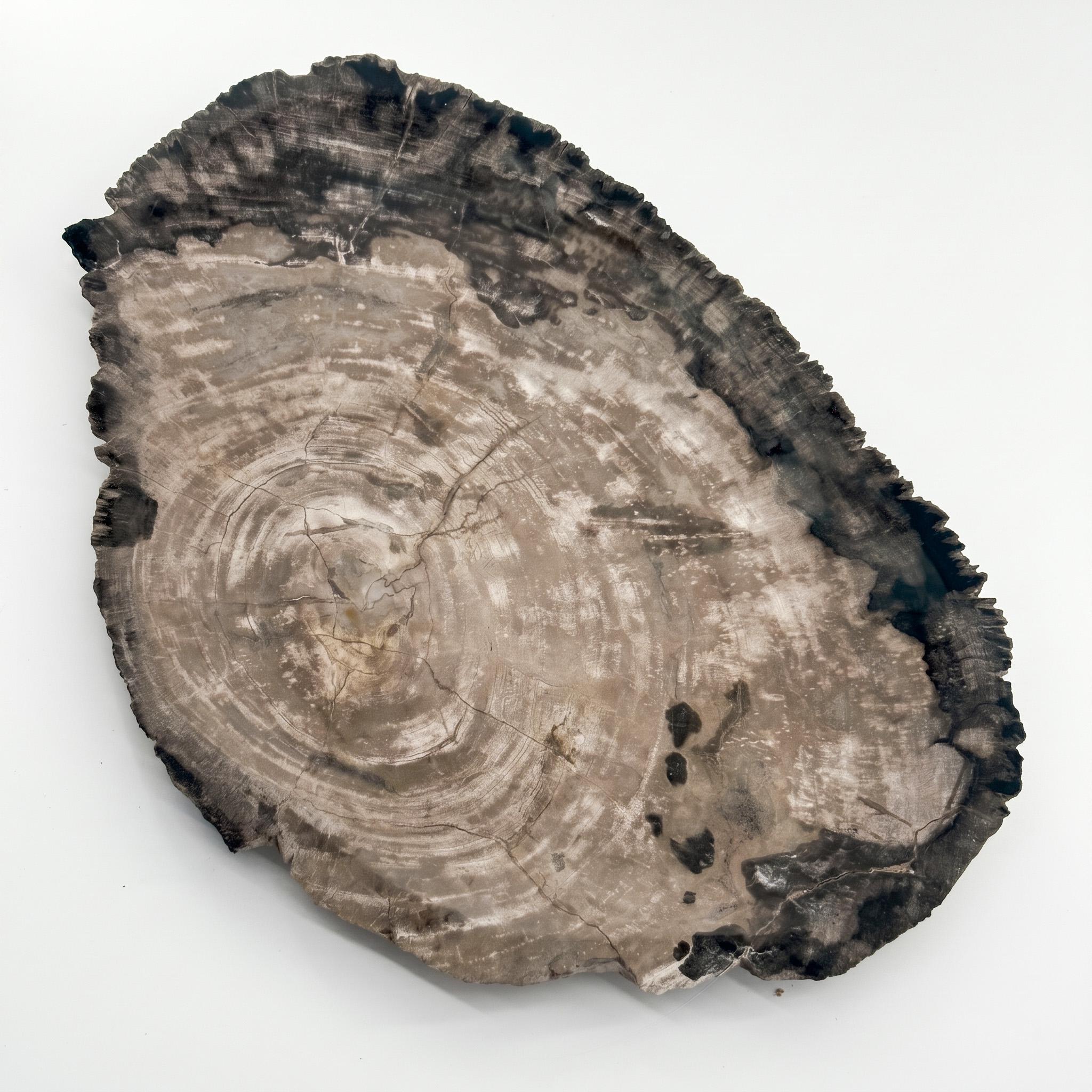 Large Platter 20"