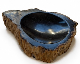 Könnte beinhalten: Eine Schale aus versteinertem Holz mit einer glatten, polierten, tiefschwarzen Innenschale, die einen Kontrast zur rauen, strukturierten, hellbraunen Rindenaußenseite bildet, welche den natürlichen, unregelmäßigen Rand des Objekts bildet.