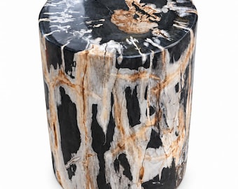 May include: A cylindrical stool crafted from polished petrified wood, featuring a high-gloss finish. The surface displays a natural, intricate pattern of deep black, creamy white, and warm tan mineral veins throughout the stone structure.
