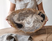 Large Petrified Wood Serving Plate 18"
