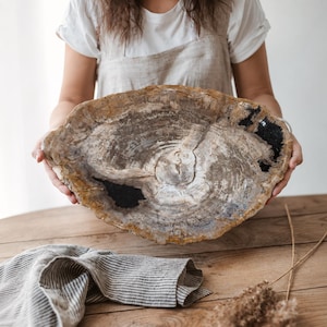 Petrified Wood Tray - Etsy
