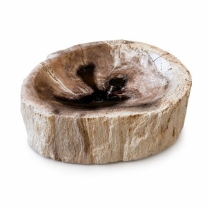 Petrified Wood Ash Tray - Etsy