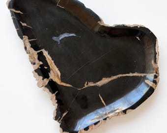 Könnte beinhalten: Eine polierte, herzförmige Schale aus dunkel schwarzem versteinertem Holz. Die Oberfläche hat ein glattes, glänzendes Finish mit natürlichen, hellbraunen, strukturierten Rindenrändern und dünnen, cremefarbenen Mineraladern in der Mitte.