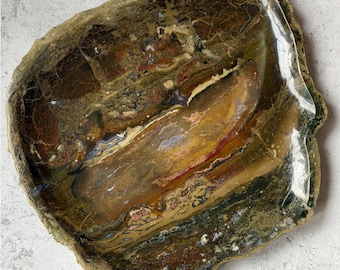 May include: A polished, irregular-shaped stone bowl featuring a complex, multi-layered pattern of earthy tones including deep brown, olive green, ochre, and hints of translucent gray, with a rough, natural outer edge and a smooth interior.
