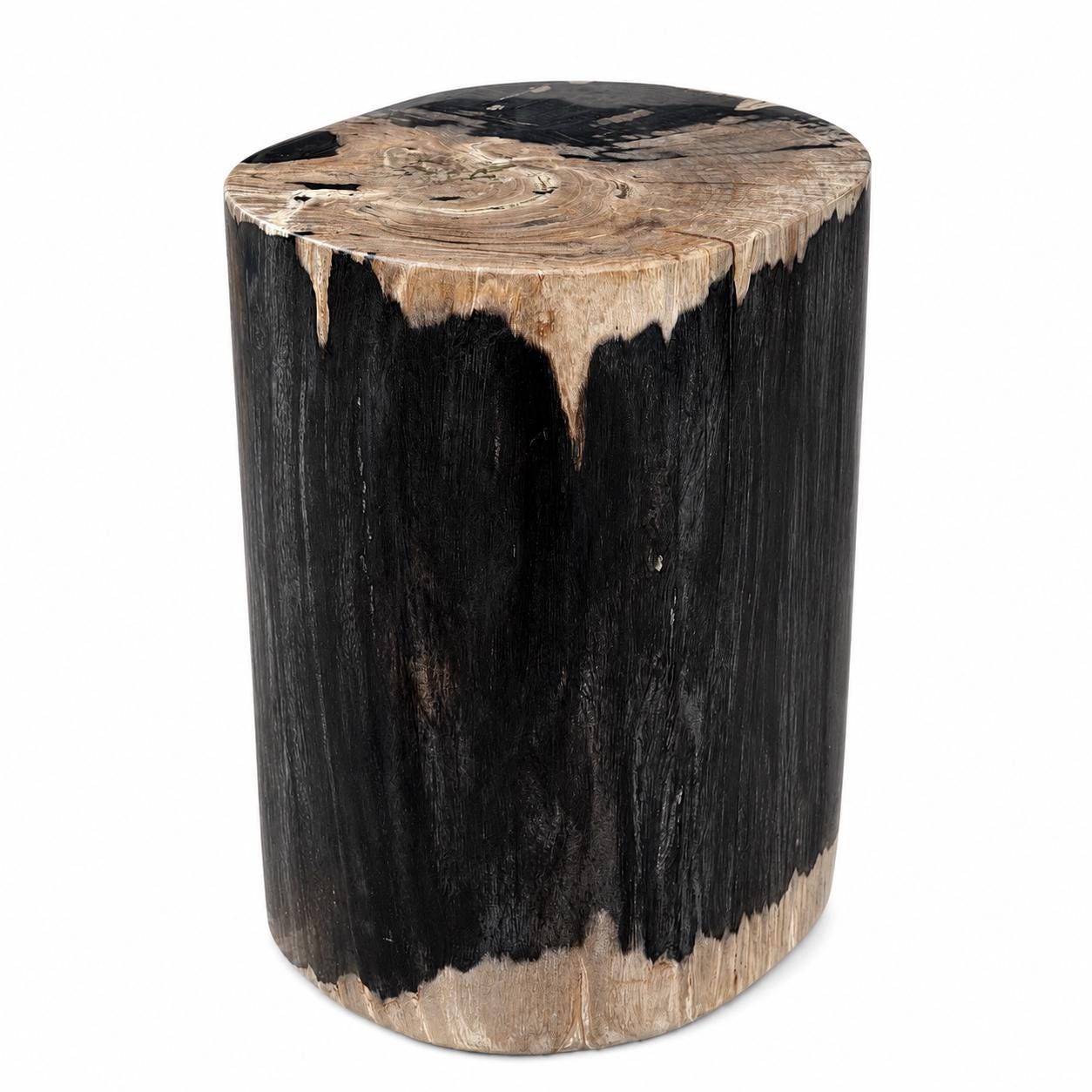 Petrified Wood Stool 18"
