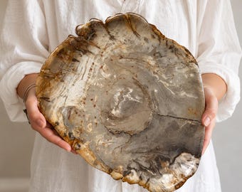 May include: A large, circular petrified wood slab featuring a polished surface with natural concentric rings, swirling grain patterns, and a color palette of earthy grays, browns, and creams. The edges are irregular and textured.