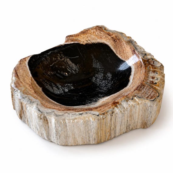 Natural Edge Petrified Wood Catch All Bowl