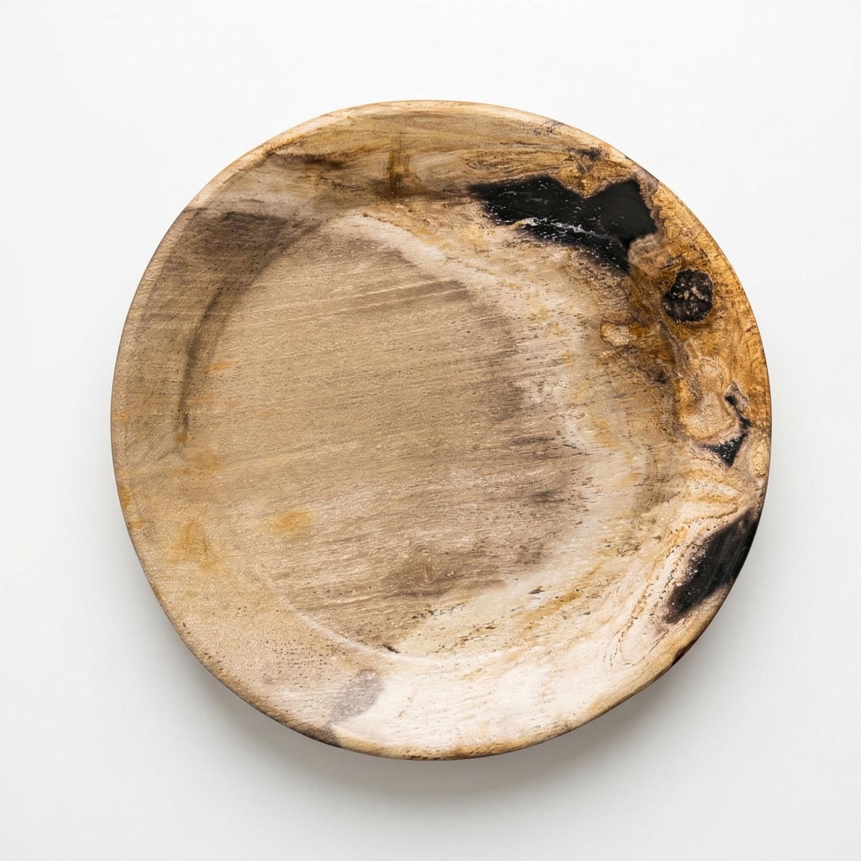 Fossilized Serving Disc