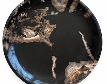 May include: A circular, polished black tray featuring natural, irregular inclusions of tan and brown fossilized wood patterns. The surface is smooth and reflective, with distinct organic textures and mineral veins visible along the edges and center.