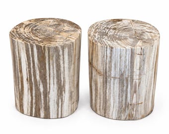 May include: Two cylindrical stools crafted from petrified wood, featuring a natural light brown and white color palette with visible circular grain patterns on the top surfaces and vertical striations along the sides of each piece.
