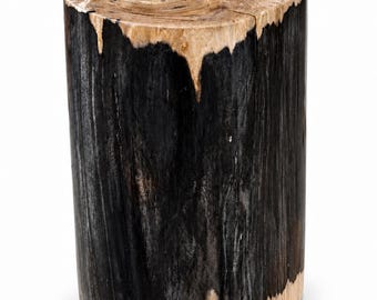 Pode incluir: Um banco cilíndrico feito de um tronco sólido, apresentando um topo com veios de madeira natural e um exterior contrastante com secções carbonizadas em preto profundo e tons de madeira bege claro na base.