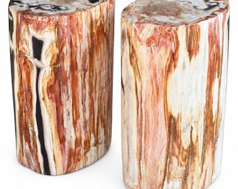 May include: Two cylindrical stools crafted from petrified wood, featuring a polished top surface and a vertical grain pattern in shades of cream, tan, deep red, and black. The natural mineralized texture is visible throughout the exterior.