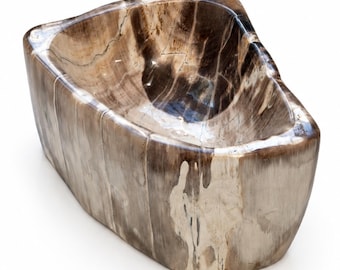 Pode incluir: Um recipiente de madeira petrificada polida com uma forma orgânica, lisa e assimétrica. O exterior e o interior exibem uma paleta de cores naturais em tons de creme, bege e castanho escuro com veios minerais e de madeira visíveis.