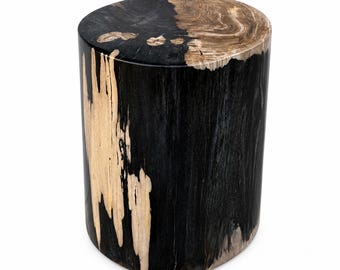 Puede incluir: Un taburete cilíndrico fabricado a partir de un tronco macizo, con una parte superior y laterales pulidos con un acabado de alto contraste. La superficie muestra una combinación llamativa de vetas de madera negra profunda y texturas naturales.