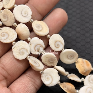 Op de afbeelding: Close-up van een ketting met natuurlijke, crèmekleurige schelpkralen met spiraalpatronen. De kralen zijn geregen met kleine zilverkleurige kralen. De ketting wordt gepresenteerd tegen een donkere achtergrond.