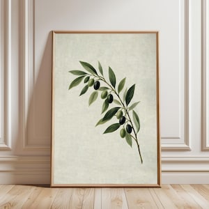 May include: A rectangular wall art print featuring a botanical illustration of an olive branch with green and black olives and pointed green leaves. The artwork is set against a textured, light beige background and enclosed in a thin wooden frame.