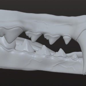 Realistic Wolf Teeth and Tongue for Fursuit Masks and Cosplay DIGITAL
