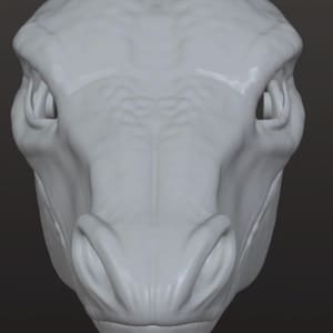 Może przedstawiać: Jasnoszara rzeźba 3D przedstawiająca głowę stworzenia, prawdopodobnie dinozaura. Głowa ma teksturowaną skórę, wyraźne oczodoły i zdefiniowany pysk. Projekt sugeruje skupienie się na realizmie.