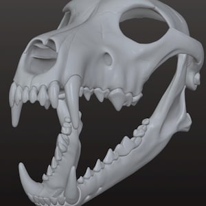 Puede incluir: Un cráneo detallado, de color gris claro, impreso en 3D, con mandíbulas abiertas, que muestra dientes afilados y una intrincada estructura ósea. Las cuencas de los ojos y la cavidad nasal están claramente definidas, ofreciendo una representación realista.