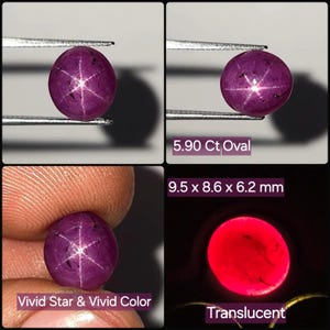 May include: A deep magenta oval star ruby gemstone featuring a six-rayed star effect. The stone is labeled as 5.90 Ct, measuring 9.5 x 8.6 x 6.2 mm. It displays a vivid star, vivid color, and a translucent appearance when backlit with light.