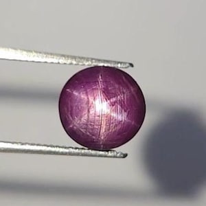 Op de afbeelding: Een ronde, cabochon geslepen sterrobijn edelsteen met een diepe magenta-paarse tint, die een duidelijk zesstralig asterisme-effect op het oppervlak vertoont, stevig vastgehouden tussen de twee dunne, zilverkleurige metalen punten van een pincet.