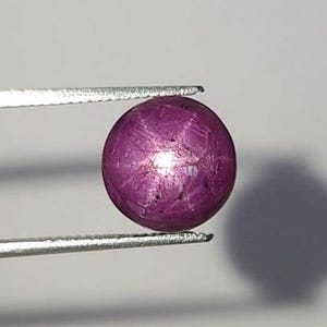 Puede incluir: Una piedra preciosa de rubí estrella de corte cabochon redondo con un tono rojo magenta intenso. La piedra muestra un efecto de estrella de seis rayos, conocido como asterismo, centrado en su superficie. La piedra está sujeta por unas pinzas de metal plateado.