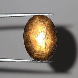 Rare Natural Golden Star Sapphire Cabochon 16.20 Ct Oval Untreated Loose Gemstone