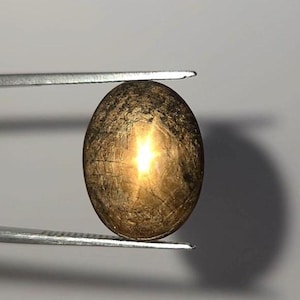 Pode incluir: Uma pedra preciosa de safira estrela de cor castanho-escura, de forma oval, com um efeito de estrela de seis pontas distinto centrado na sua superfície polida em cabochão. A pedra apresenta um tom terroso profundo e brilhante.