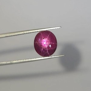 Op de afbeelding: Een gepolijste, ovale ster-robijn edelsteen, vastgehouden door een pincet. De robijn heeft een dieproze-rode kleur met een zesstralig sterpatroon op het oppervlak. De pincet is van glanzend metaal.
