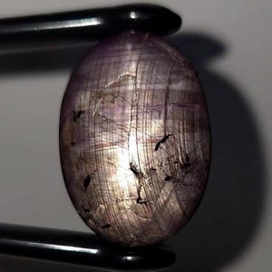 Op de afbeelding: Een ovaalvormige cabochon edelsteen met een diepe paarse en grijze tint, met een duidelijk zesstralig stereffect over het oppervlak. De steen vertoont zichtbare interne insluitingen en een gladde, gepolijste afwerking, vastgehouden door een zwarte pincet.
