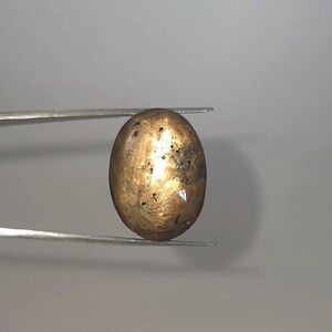 Sällsynt naturlig 36,15 ct gyllene stjärnsafir oval obehandlad cabochon lös ädelsten