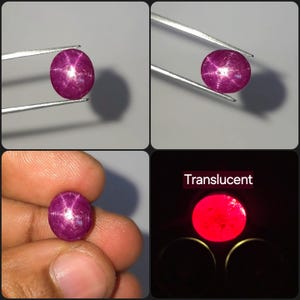 May include: A round, cabochon-cut star ruby gemstone with a deep magenta-red color. The stone displays a distinct six-rayed star effect when illuminated. One panel shows the gemstone backlit, revealing its translucent quality with the text Translucent.